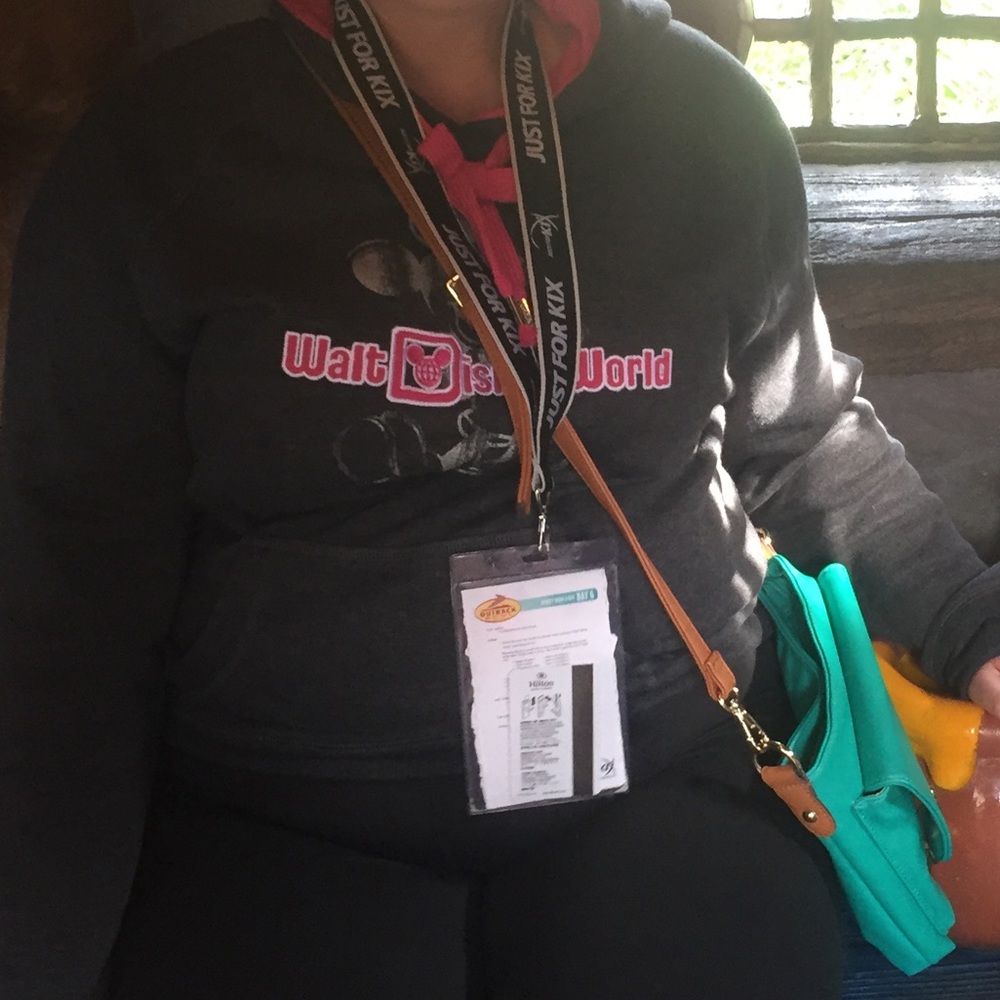 Walt Disney world Hoodie